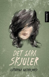 Bokomslag Det Sara skjuler